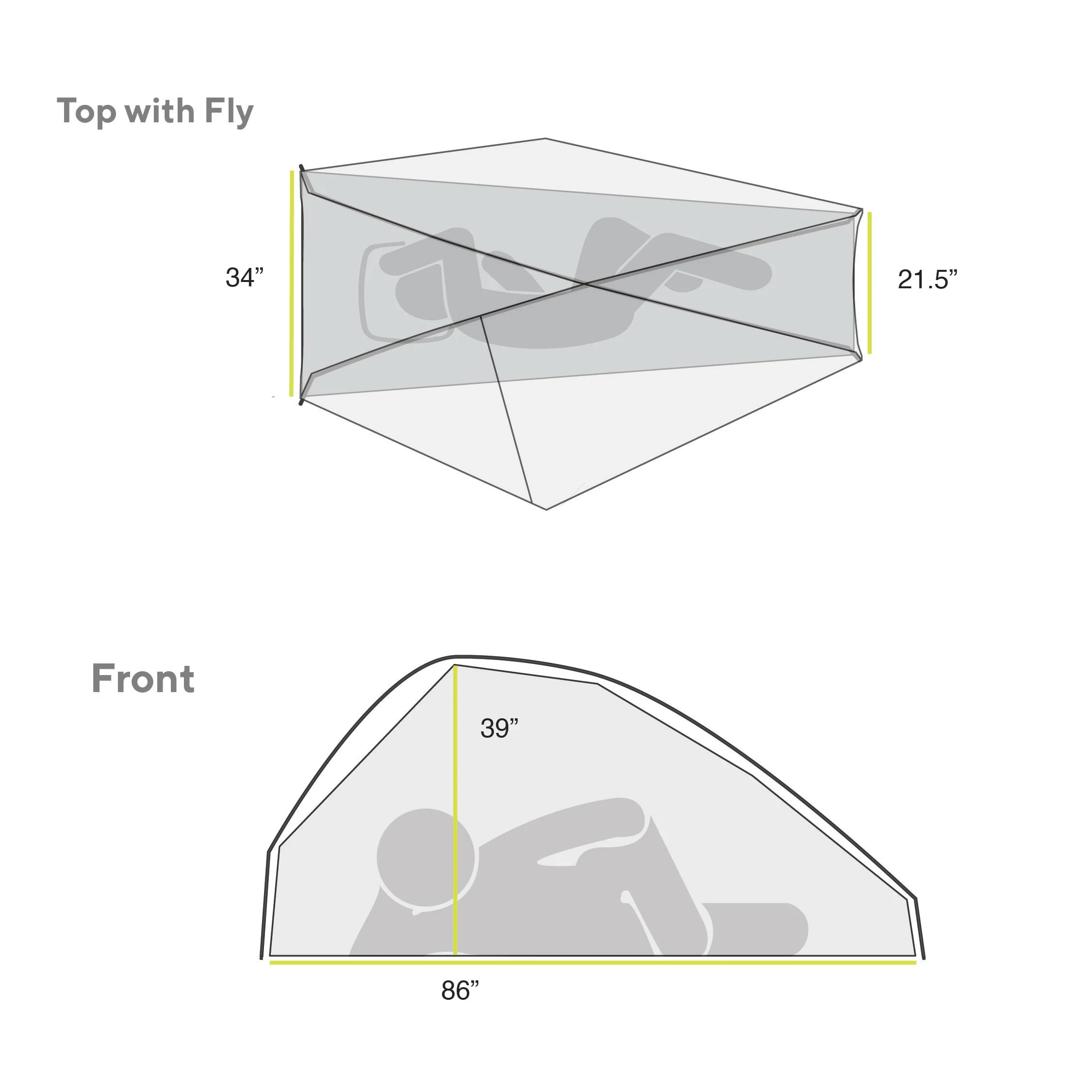 The Free - Image 5